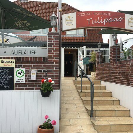 Tulipano