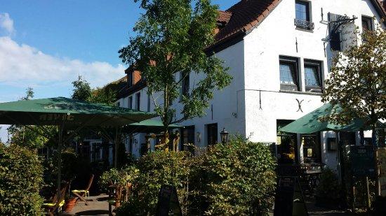 Mayas Bistro Café