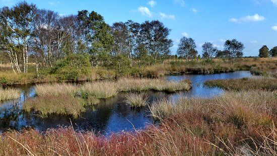 Ewiges Meer