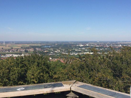 Burgrunine Heinrich des Lowen