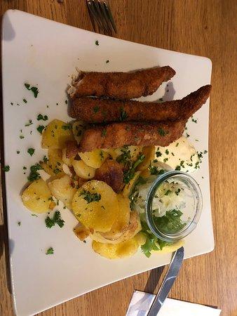 Fisch Kalter