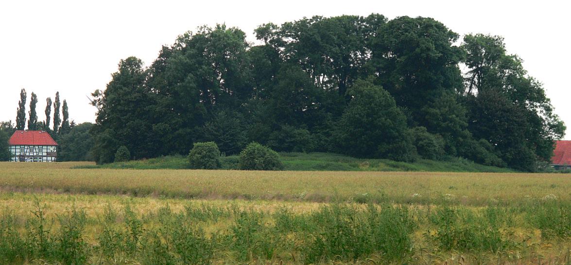 Burg Wölpe