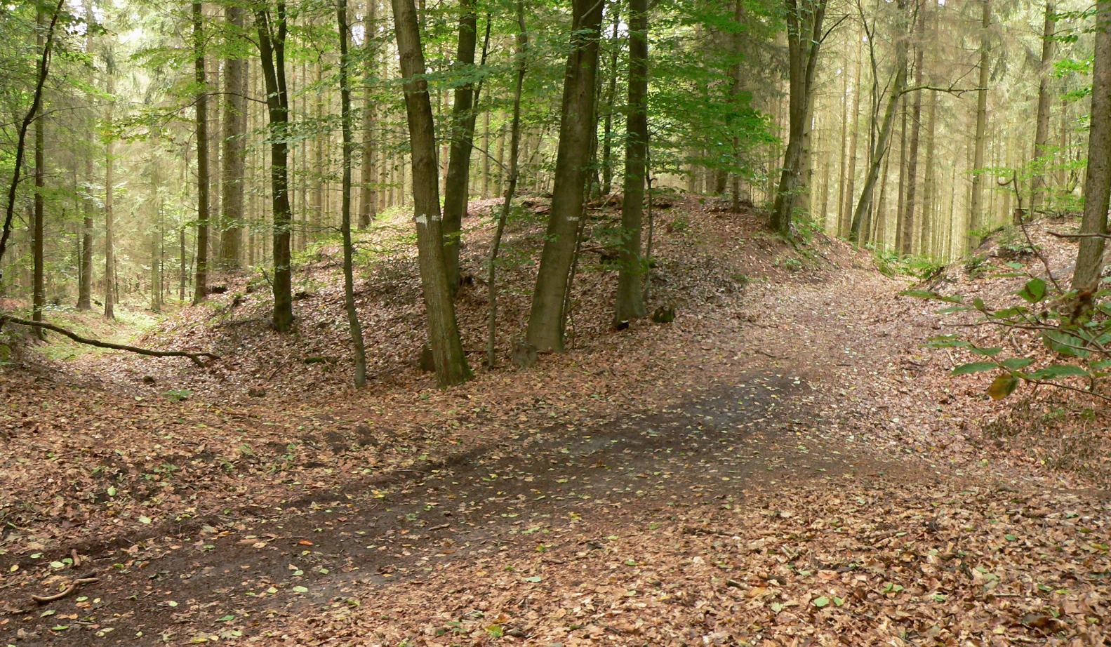 Alte Schanze