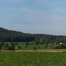 Benther Berg