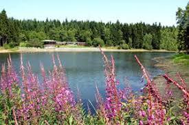 Kuttelbacherteich