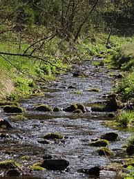 die Grane