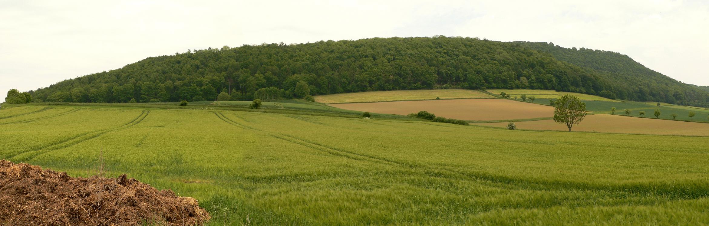 Amelungsburg