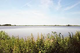 das Bansmeer