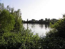 Großer Ricklinger Teich