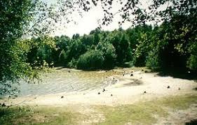 Dammer Bergsee