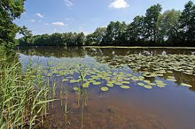 Gümser See