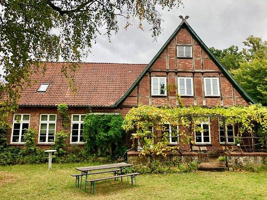 Dorfcafé Alte Schule Hösseringen