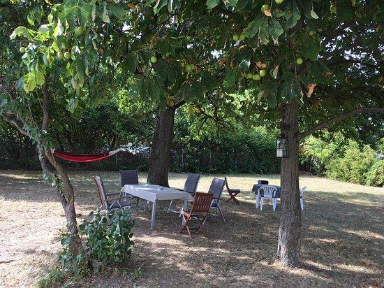 Amsel Kaffee