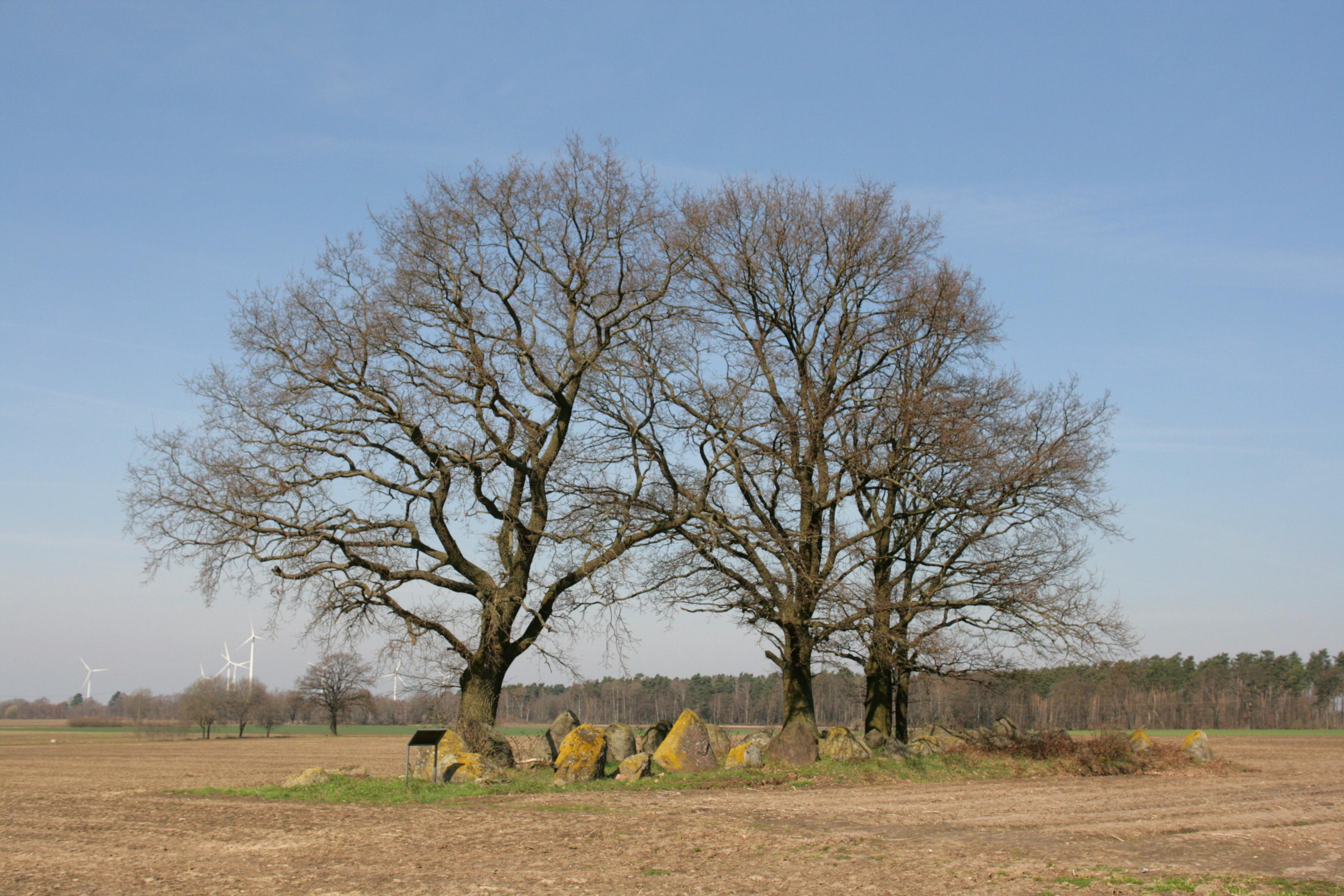 Großsteingräber bei Kahlstorf