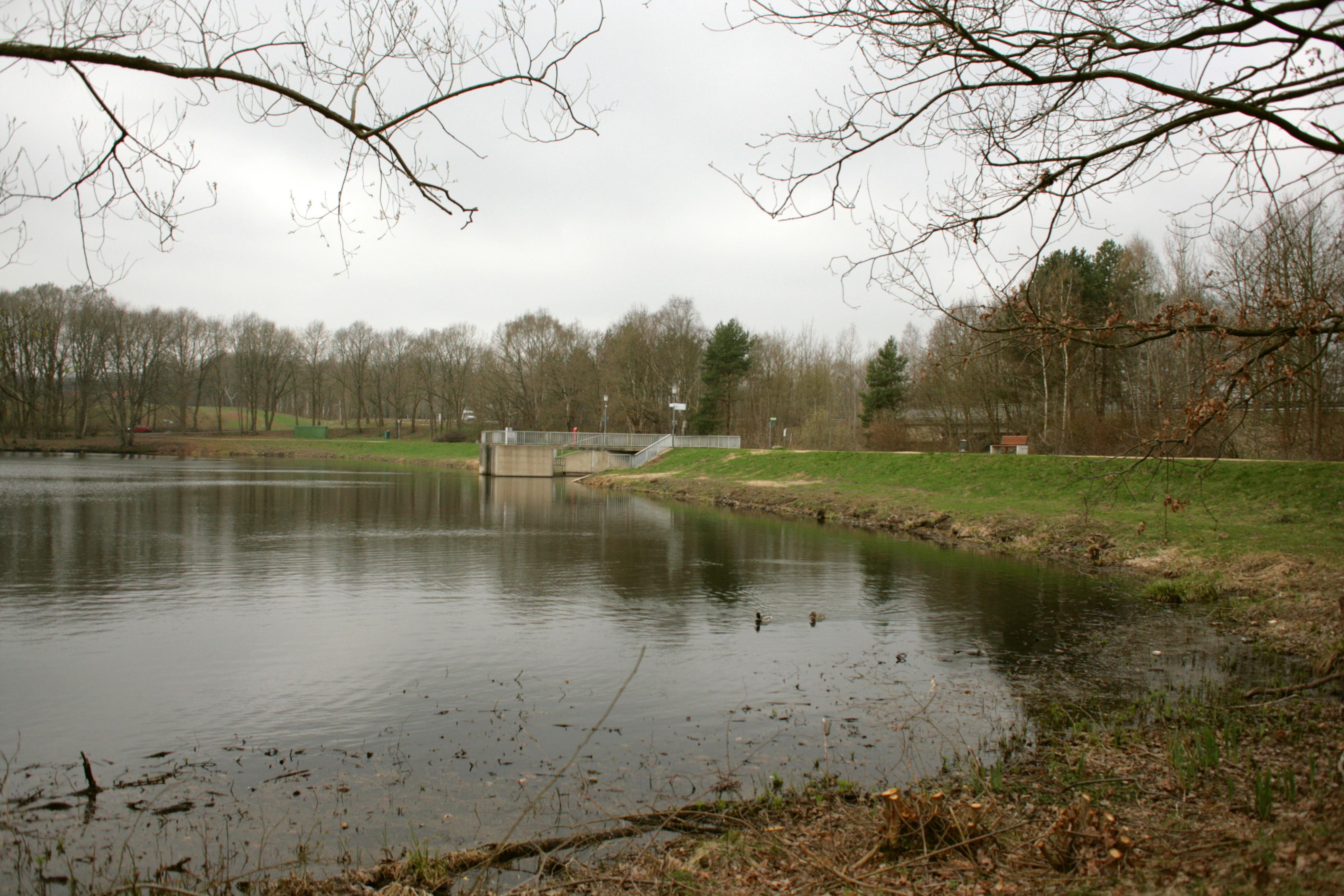 Lopausee