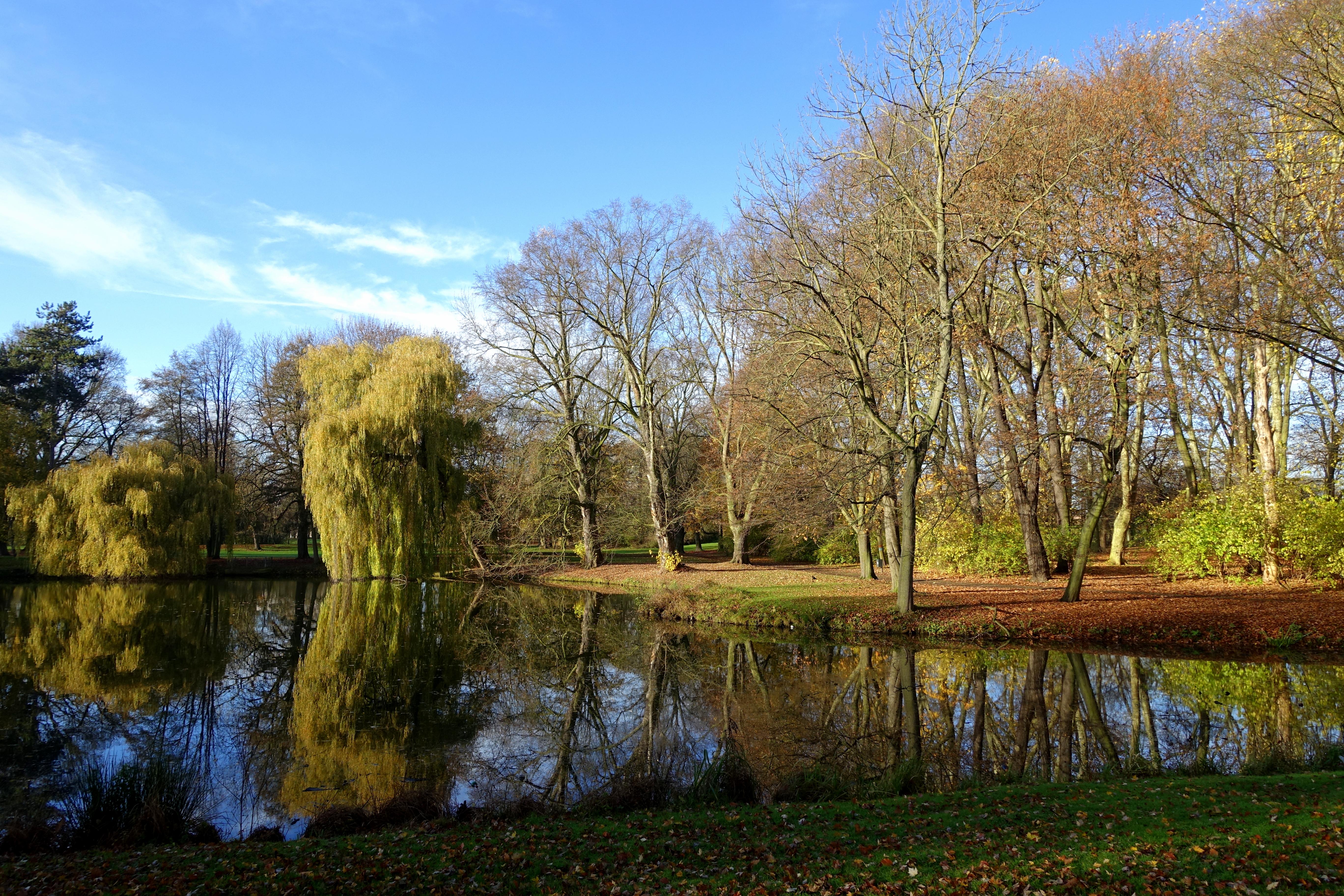 Bürgerpark