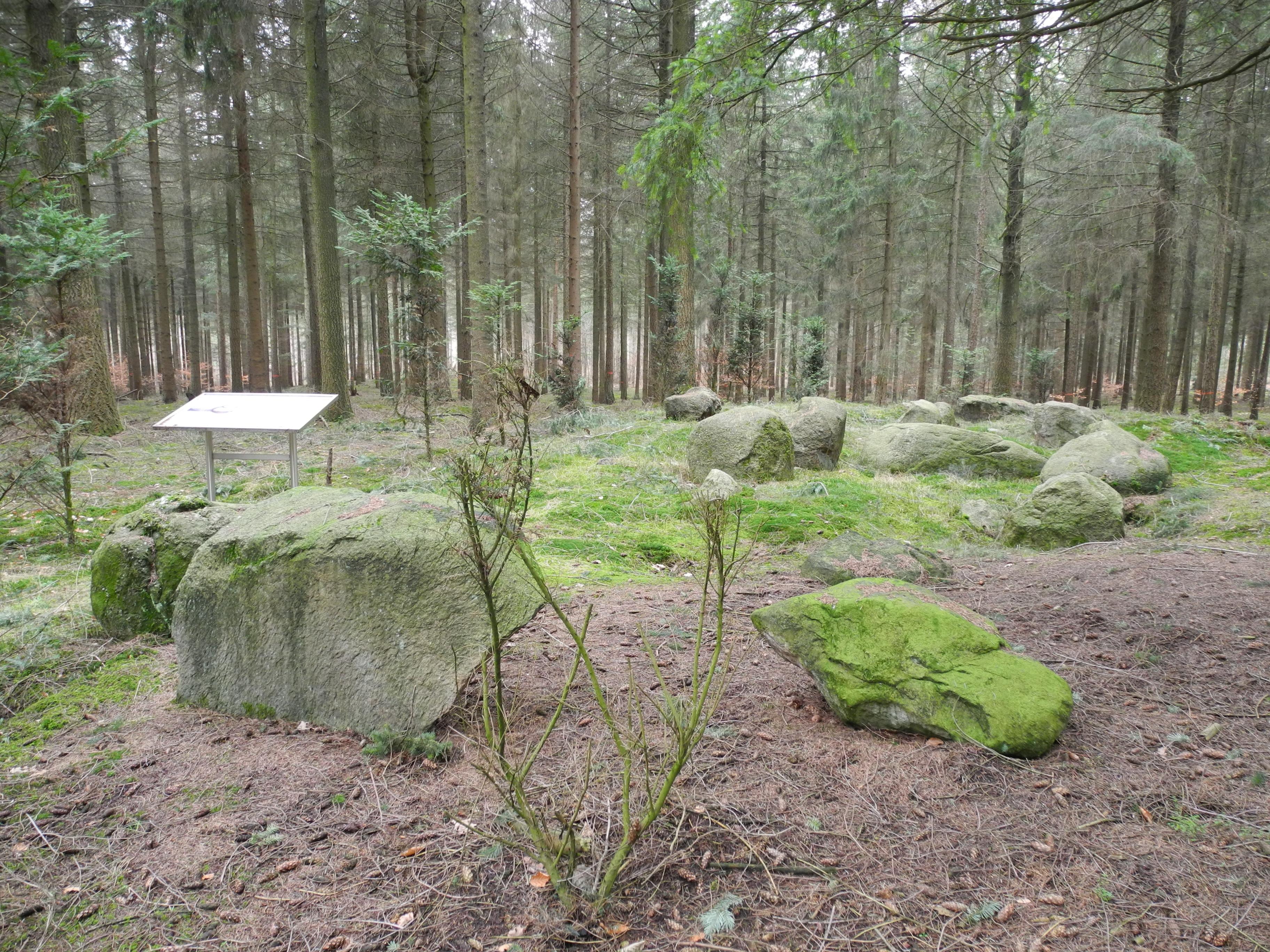 Großsteingrab Reinecke