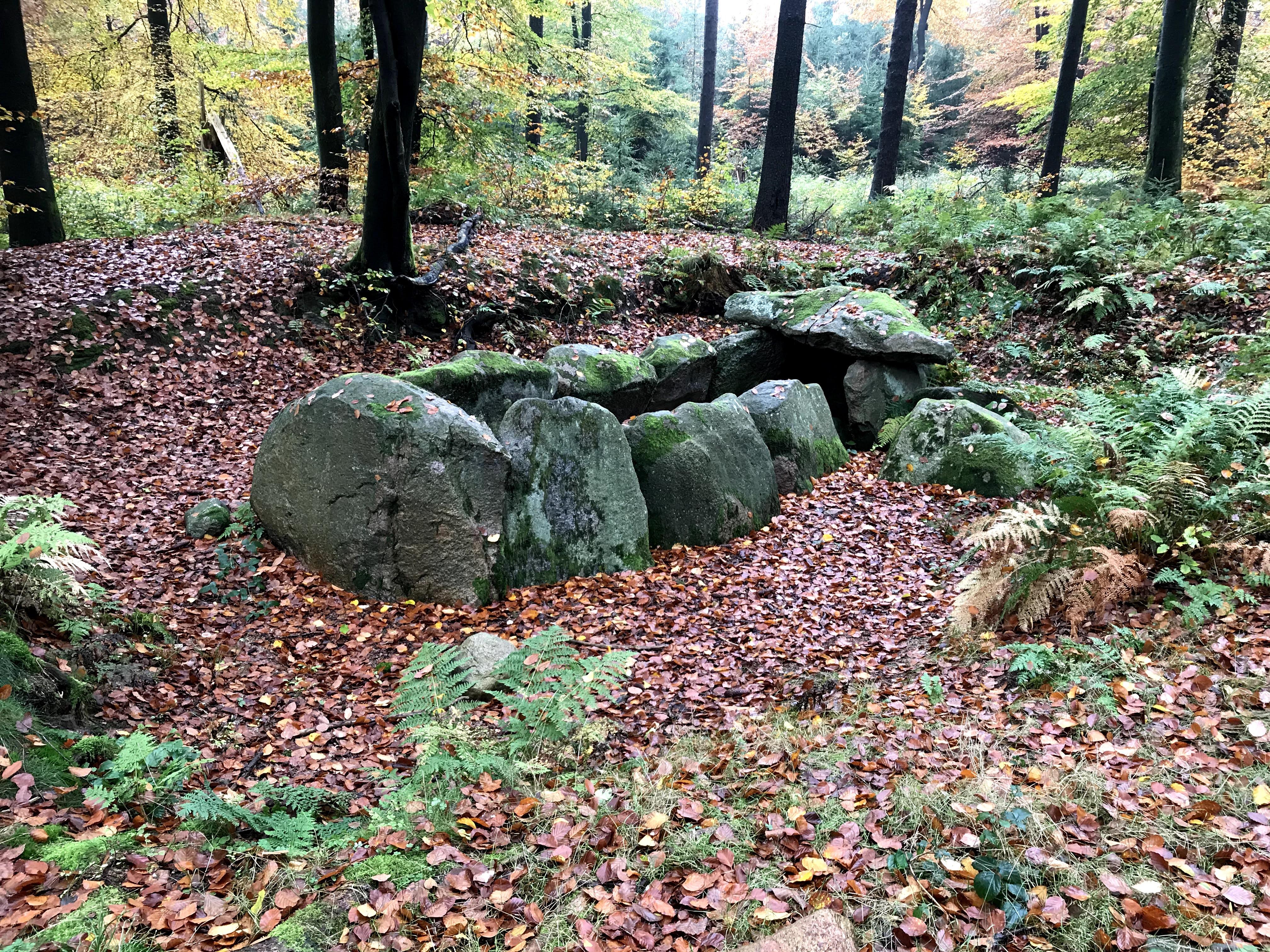 Großsteingrab Nenndorf