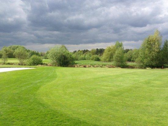Golf Club Green Eagle