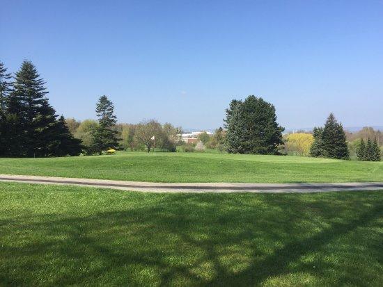 Golf-Club Harz