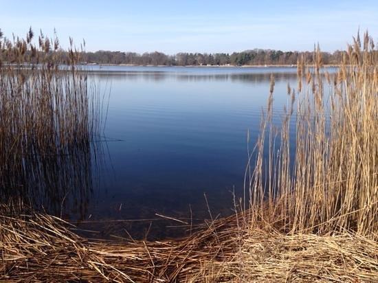 Tankumsee