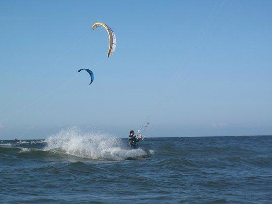 WOOGE ACTION Surfcafe