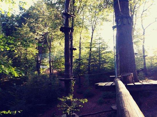 Kletterwald Osnabruck