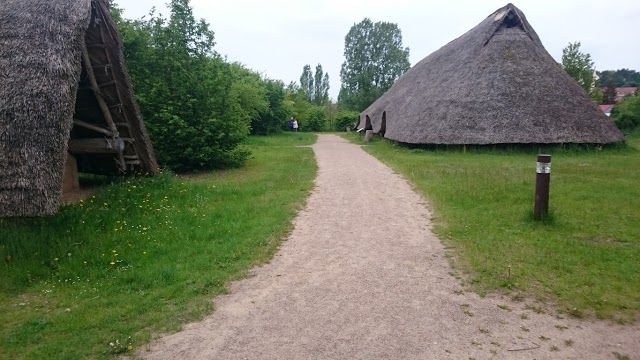 die Elbtalaue