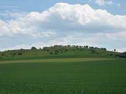 Ösel