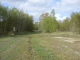 Bahndammgelände Krusenbusch