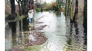 Bürgerfelder Teich