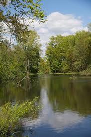 der Alveser See