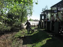 Ströher Moorbahn