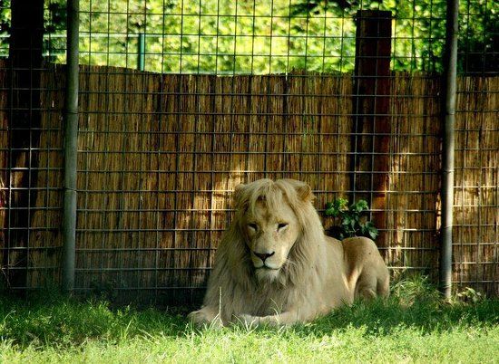 Tier- und Freizeitpark Thüle