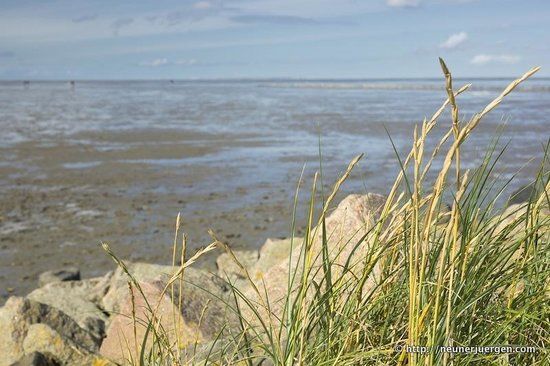 Wattenmeer